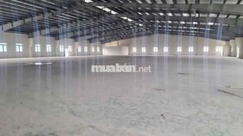 KHO XƯỞNG GIÁ RẺ ( 2.600m2 ) LÊ MINH XUÂN