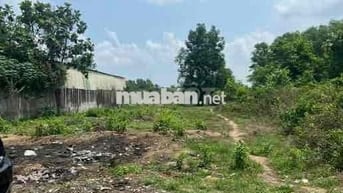 NGỘP 3 LÔ 100m2 kế đường Quốc Lộ 13 gần cổng Chào Bàu Bàng