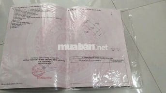 [BÁN GẤP] NHÀ VƯỜN KÉP 210M2 – MT 14M TẠI CHÂU PHÚ – DỌN VÀO Ở NGAY!