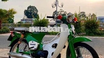 Honda Cub Xanh lá Trắng