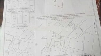 BÁN ĐẤT VƯỜN GIÁ TỐT – XÃ QUY ĐỨC, BÌNH CHÁNH | 5×10