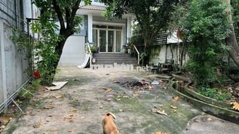 Cho thuê mặt bẳng kinh danh buôn bán apđ vườn lài