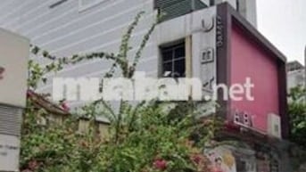 Nhà MT Bạch Đằng – Ngang 6.7m – Sàn Suốt – Phù Hợp Mọi Mô Hình