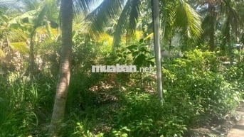 Đất vườn dừa tổng 3662m2, có 600m2 thổ cư,mặt tiền đường lộ đan