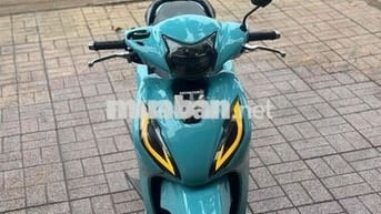 víison 2022 kiểng