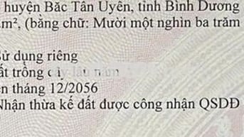 BÁN 11.372m² ĐẤT + VƯỜN CAO SU 3–4 NĂM – 2 MẶT TIỀN