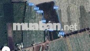 ĐẤT 5ha LÀM KHO XƯỞNG TẠI TÂY NINH TÂN BIÊN