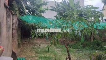 BÁN ĐẤT GẦN 80M2 CHỈ 2TY2 P. TÂN ĐÔNG HIỆP. CHỦ BỚT LỘC