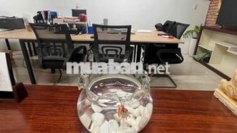 văn phòng 60m2- giá 6,5tr rẻ nhất khu Cầu Sài Gòn - ngã Tư Hàng Xanh