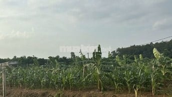 CẦN BÁN ĐẤT NÔNG NGHIỆP, Ô TÔ TỚI NƠI – TÚC TRƯNG, ĐỊNH QUÁN, ĐỒNG NAI