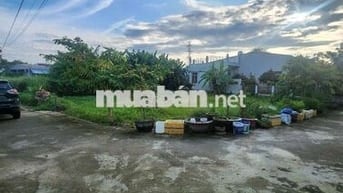 1000m2 300m2 đất ở Đại Cường, Đại Lộc Cũ