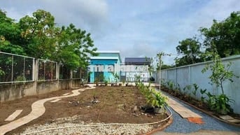 Bán nhà vườn 320m2 SHR ở 1/ Ql22 , An Tịnh , Trảng Bàng giá 1 tỉ 050tr