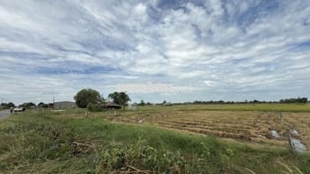 Đất 25x42 thổ cư 200m2 - Phước Đông, Long Phước, Bến Cầu, Tây Ninh