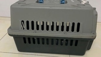 Lòng nhựa đựng chó đã qua sử dụng