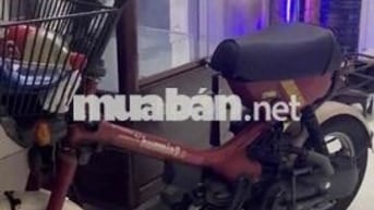 Honda Humming màu Đỏ