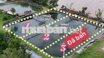 588m² có 50m² TC mặt tiền sông đường nhựa, giá chỉ 750 triệu