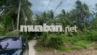 Đất thổ cư giáp rạch giá rẻ Tân Phú Đông – 170m² chỉ 260 triệu, sổ sẵn