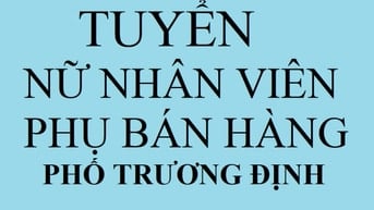 Tuyển nữ phụ bán hàng gia dụng từ 16h-22h, tại phố Trương Định