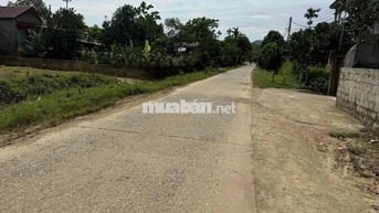 Cần bán đất diện tích 517,5m có 300m thổ cư. Sổ đỏ chính chủ