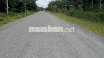 BÁN ĐẤT RẪY CAO SU 4 NĂM – 2 MẶT TIỀN ĐƯỜNG ĐẸP -Chính chủ 916.737.488