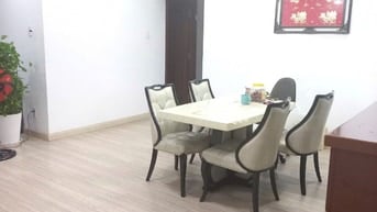 Bán gấp căn hộ  Giai Việt Hoàng Anh Tạ Quang Bửu, Phường Chánh Hưng, H