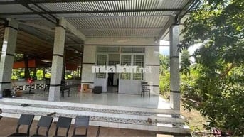 Bán gấp nhà vườn Bình Phước QL13 giá 200tr 3209m2 có 400m2 thổ cư