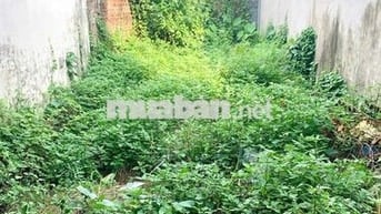 Sổ đỏ chính chủ bán đất 51m2,Thiên Đông, Thanh Oai, Gần Vành Đai 4