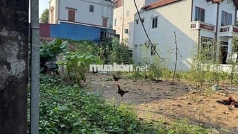 Chính chủ bán đất chợ tam hưng phân lô ô tô tránh