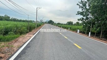 CHÍNH CHỦ BÁN 2 LÔ ĐẤT SẴN SỔ MẶT TIỀN 12M TRUNG TÂM LONG CHỮ-BẾN CẦU