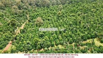 ĐẤT ĐẸP GIÁ TỐT CHÍNH CHỦ CẦN BÁN Lô Đất Tại Đắk Sắk,Đắk Mil,Đắk Nông