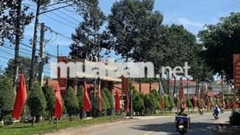 Đất mặt tiền đường DH504 Phú Giáo Bình dương giá 870tr /1004m TC100m