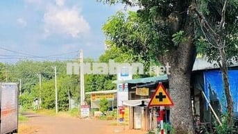 Chủ Ngộp Cần Sang Lô Đất Ở DH519