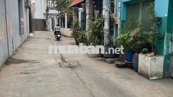 Hẻm ô tô 6m, Mã Lò, 100m2 (5mx20m), giá nhỉnh 4 tỷ