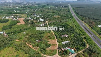 Bán đất vườn sẵn thổ cư 258m2, trong đó có hơn 100m2 thổ cư tại Cẩm Mỹ