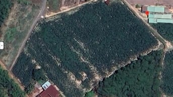 Bán trang trại khu nghỉ dưỡng tại Cầu Khởi, Dương Minh Châu, Tây Ninh,