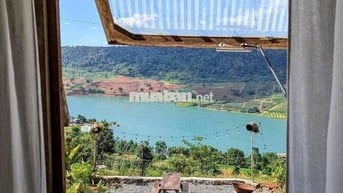 Chính chủ bán đất P2 BảoLộc view hồ tặng nhà 499triệu công chứng ngay