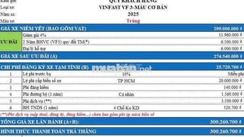 Bán xe Vinfast VF3 chưa chạy, giá cực hời !