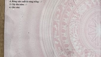 Bán đất kho xưởng đang cho thuê dài hạn