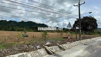 Đất nền vi trí đẹp. thuận lợi cho xây nhà máy, thuê kho trữ sầu riêng