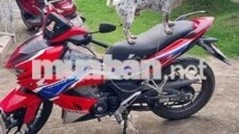 Không đi nên bán