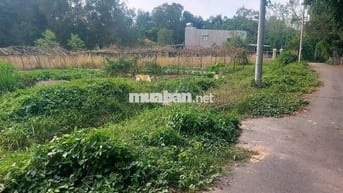 Gia đình cần bán lô đất SHR 335m2 cách trung tâm TP Bến Cát 700m