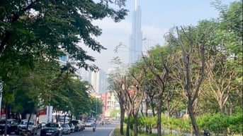 2 MT Trần Não & 8L, LG 50m, VH 40m2, DTĐ 92m2, DTSD 460m2: 1H 1T 3L ST