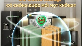 Các mẫu giường tầng công nghiệp