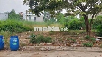 Cần Bán Nhanh 150m² MT DH612 Tân Hưng,  Bầu Bàng – Giá Tốt 590Tr