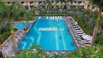 Cho thuê CH Akari City (2PN+/61m2-8tr);(2PN+/80m2-8,5tr);3PN/97m2-12tr