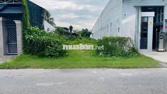 ĐẤT CHÍNH CHỦ SÁT BÊN KCN TÂY BẮC XÃ TÂN AN HỘI MẶT TIỀN KINH DOANH 8m