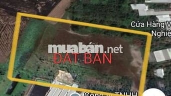 BÁN ĐẤT TRUNG TÂM PHƯỜNG MỸ XUYÊN