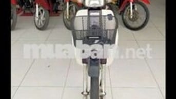 Xe Dream thái Lan ĐK 98 giá 20 tr