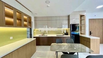 Chuyên cho thuê căn hộ Diamond Alnata