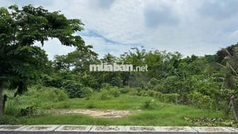 MUA 1 ĐƯỢC 2 LÔ ĐẤT MT ĐƯỜNG TT CỦ CHI 224M2 SHR FULL TC CHỈ 720TR TL